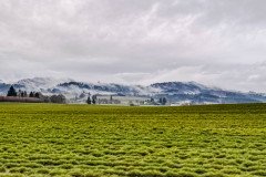 20241222_171138207_iOS