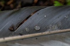 DSC_9044