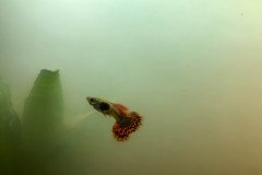 20210311_025551376_iOS