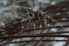 DSC_5318