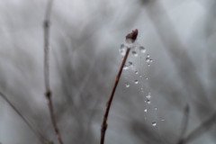 DSC_5404