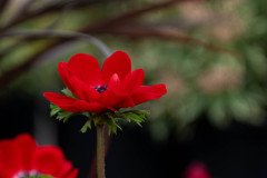 DSC_5434