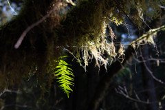 DSC_5789