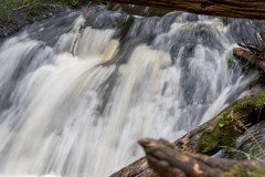 DSC_6601