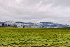 20241222_171138207_iOS